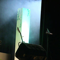F873F94E-9937-4208-8170-EC80098EEA89_edited.jpg