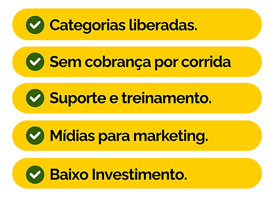 SEJA DONO DE UM APP COMO A UBER EM SUA CIDADE. (7).png