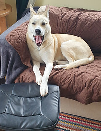 Roxy footrest.jpg