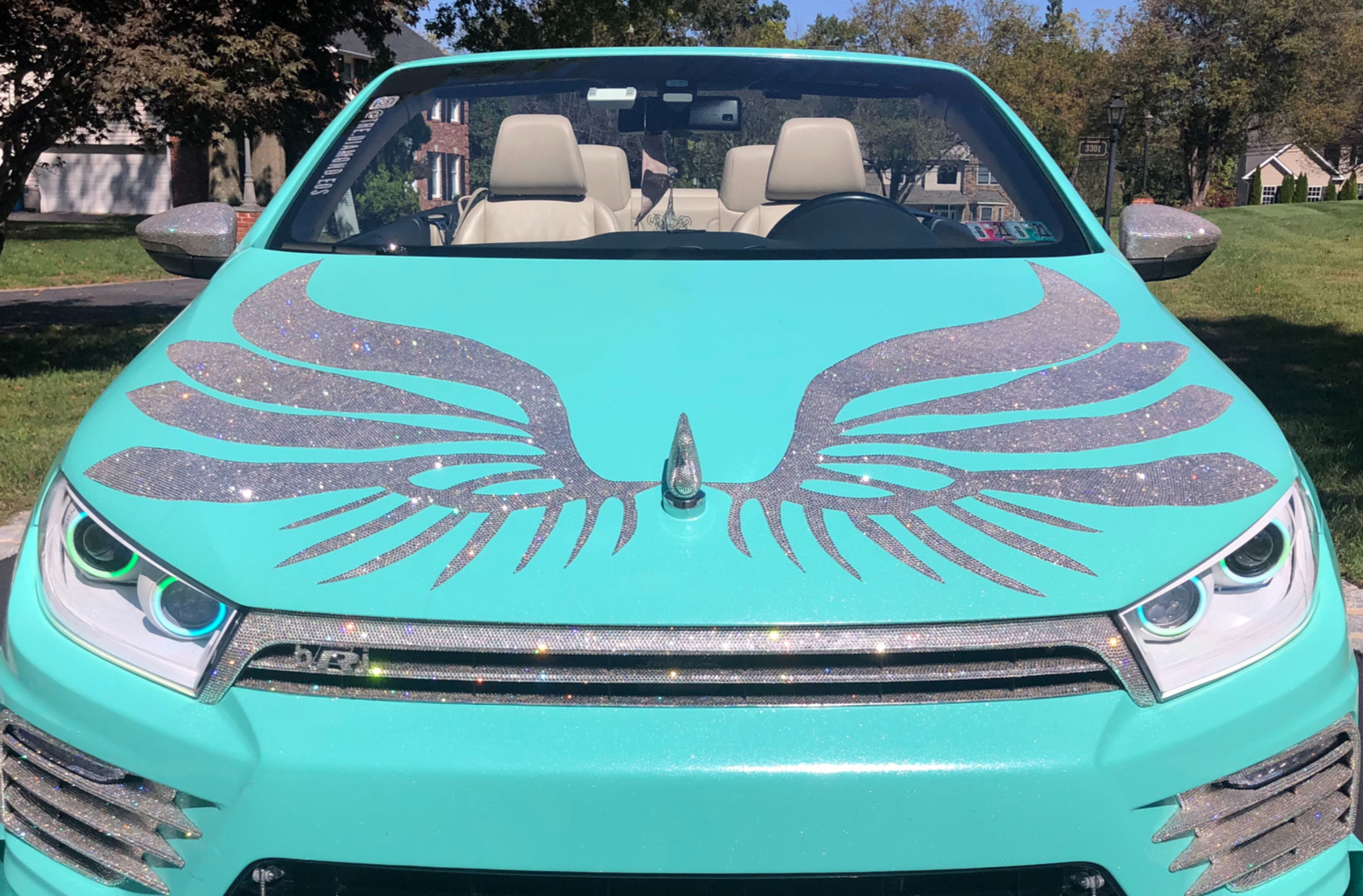 CRYSTALLIZED Hood - Any Car | Any Design