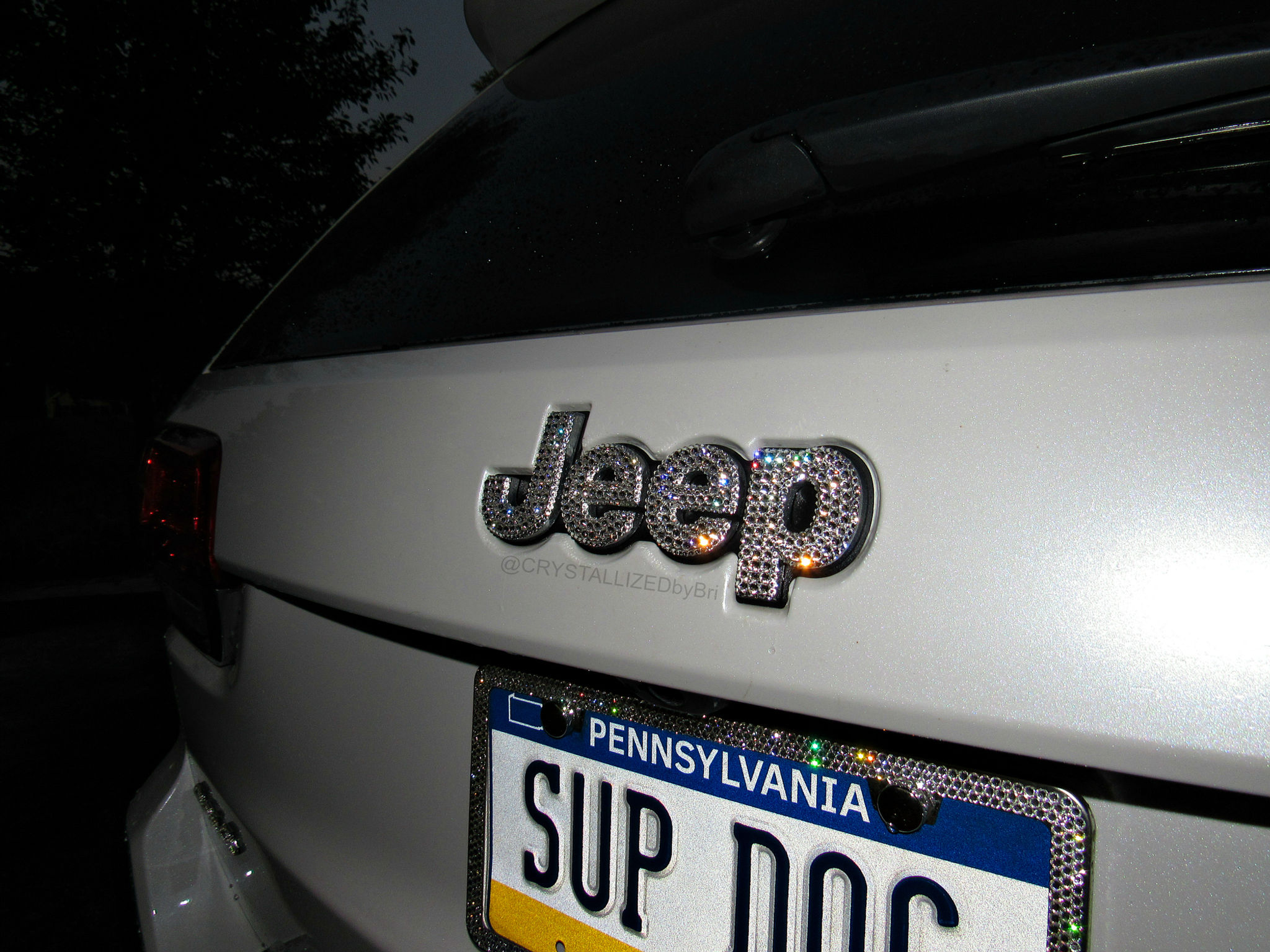 CRYSTALLIZED Jeep Emblem - Front or Rear