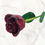 Thumbnail: The Forever Rose® CRYSTALLIZED Birthstone Rose - January (Garnet)