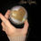 Thumbnail: CRYSTALLIZED Vintage Chevy Horn Cover
