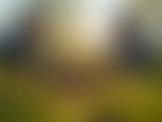 Effective Climate Resilience Strategies for Communities