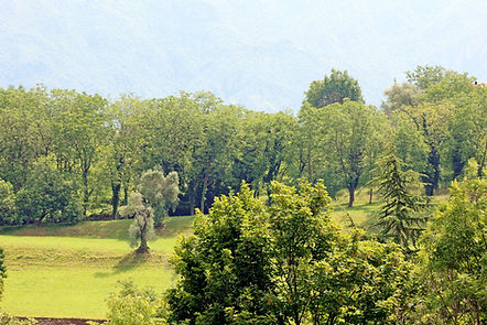 B&B - Ronco (14).JPG