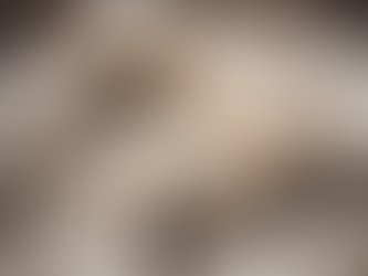 Choosing the Perfect English Labrador Puppy for Your Family