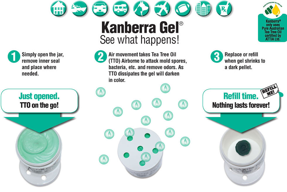 Thumbnail: Kanberra Gel - All Natural Air Purifier with Tea Tree Oil