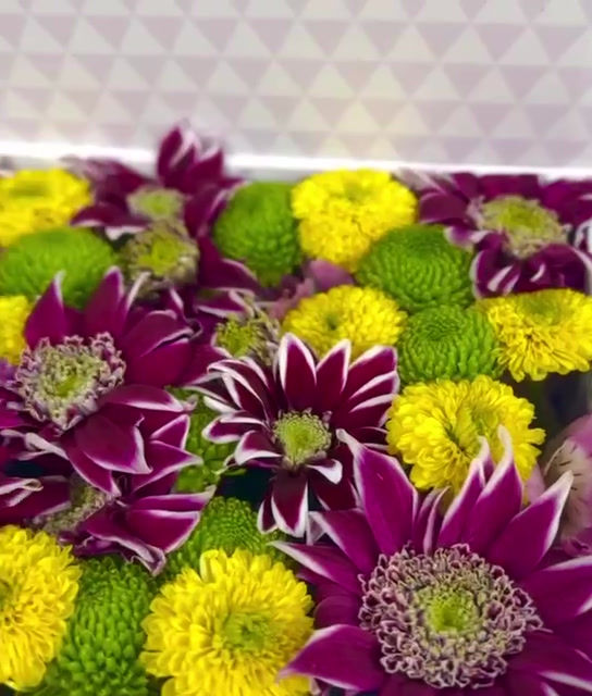 Thumbnail: Garden in a Box