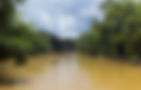 amazonRiver.jpg
