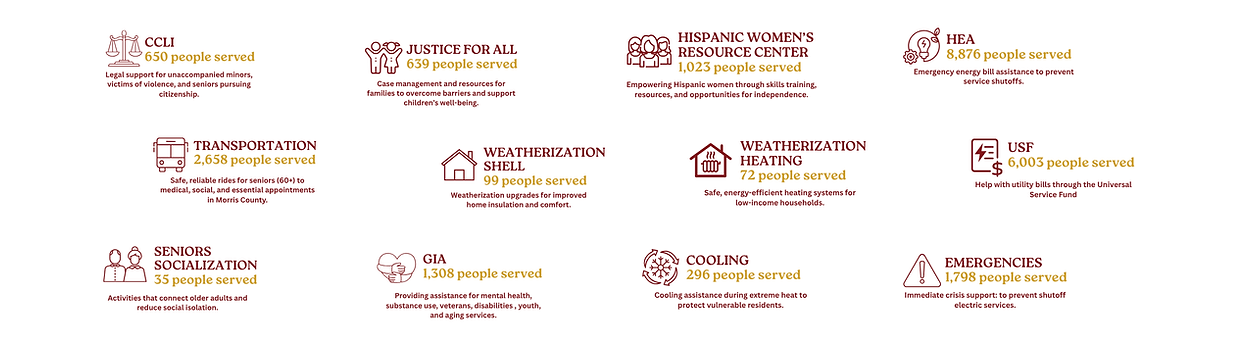 Website - Our Programs in Numbers (4).png
