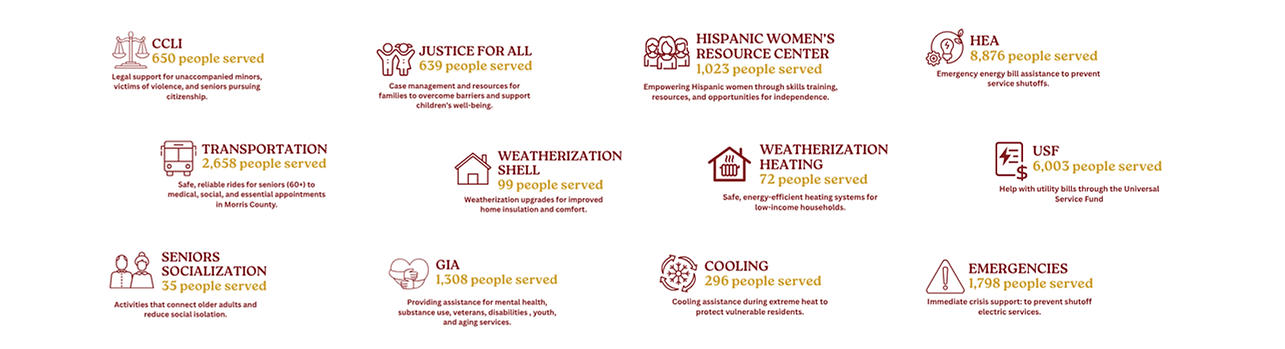 Website - Our Programs in Numbers (4).png