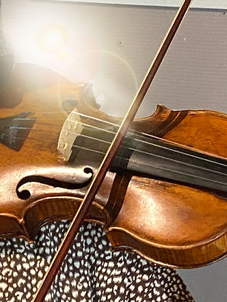 cours de violon a villefranche sur saone 2_edited.jpg