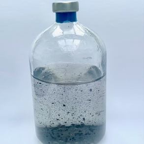 Microorganisms Producing Elemental Carbon