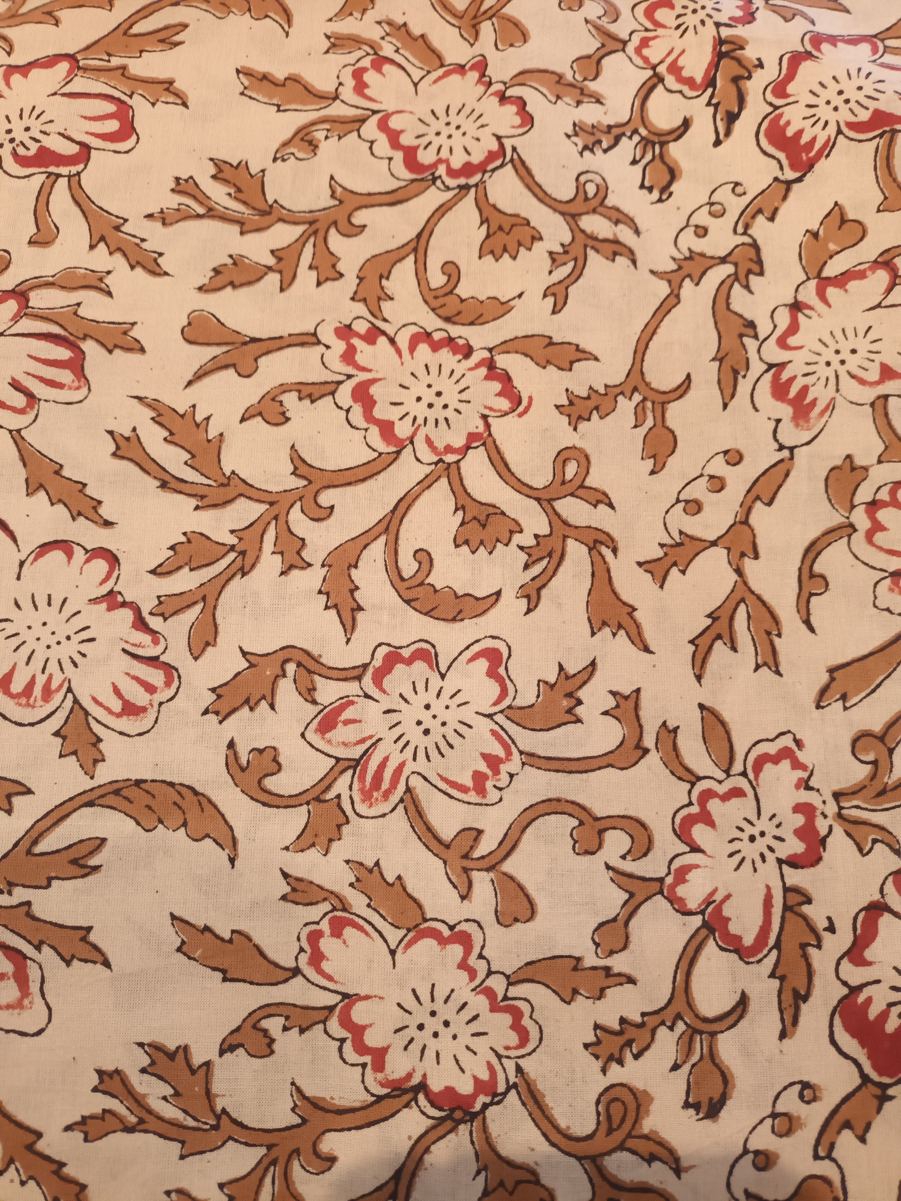 J072448 - Sand Carnations