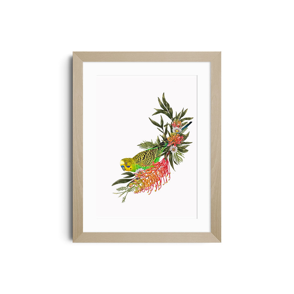 Thumbnail: Green Budgerigar Print