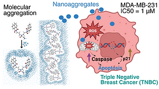 TOC_Nanoscale.png