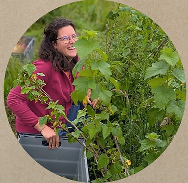 Pachamam'alpes Entrelacs