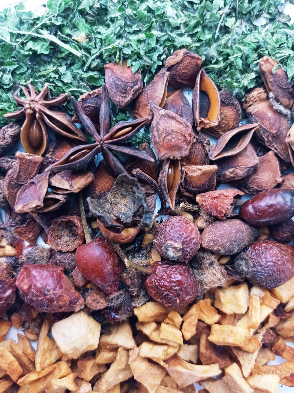 tisana note d'autunno