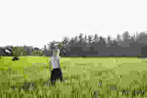 Walking in nature