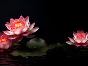 Let's get it started.