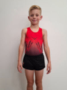 Ensemble Leotard / Short floqué Vitrolles Gym