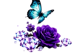 Untitled design_edited_edited.png