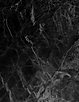 19DB8EBD-AAF9-4609-8F68-7D5CD73F90E8.png