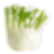 Fennel
