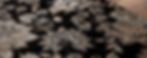 Thumbnail: GM5658 Black/Beige Glamor
