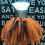 Thumbnail: Girl's Black & Orange Halloween Witch Tutu