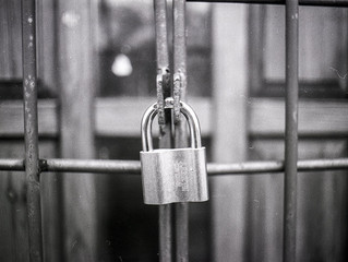 Data holds the key to fight Organized Crime