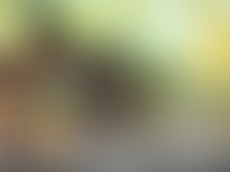 NeuVitality Buford December Specials blog graphic featuring a holiday gift box with a green ribbon beside evergreen branches and warm string lights, with text promoting consult and lab bundles, premium IV options, and limited-time savings through December 31.