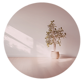 Untitled design (25)_edited.png