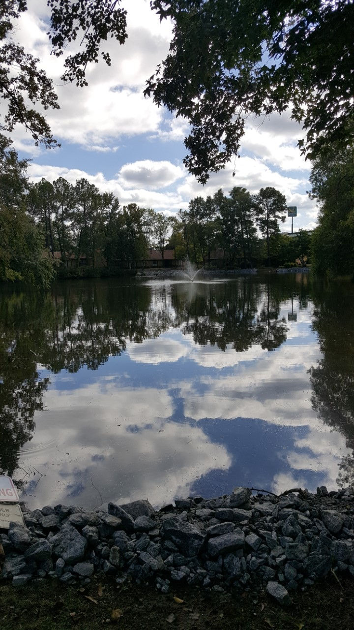 Lake 2019