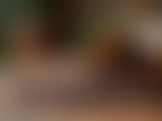 Where to Buy Artisan Coffee Online