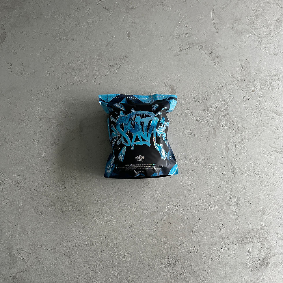 Miniatura: Conj Tracksuit Syna World Black/Blue