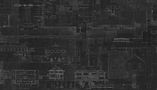 close-up-parch-scaled.jpeg