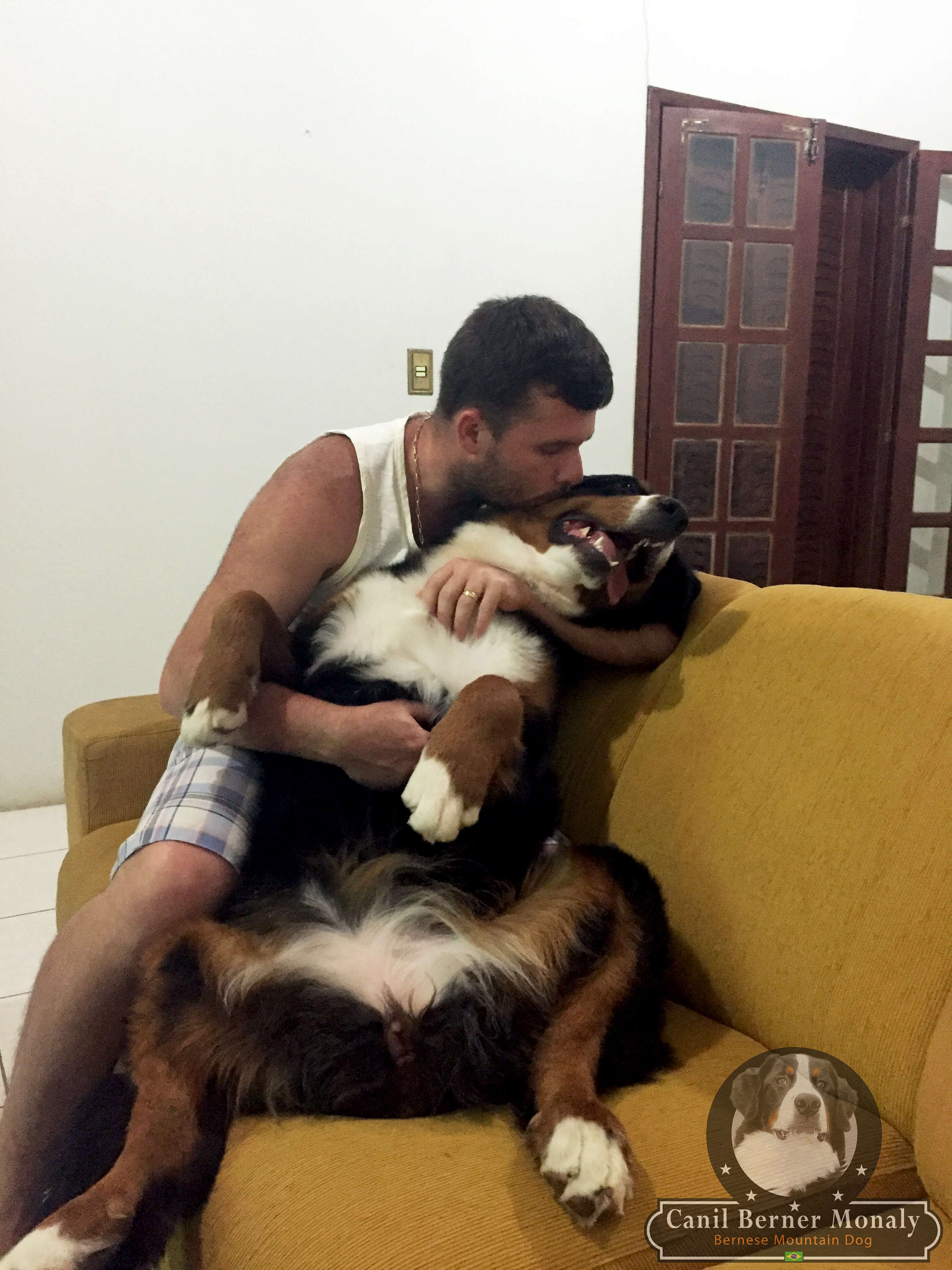 É muito Amor que tenho por ela