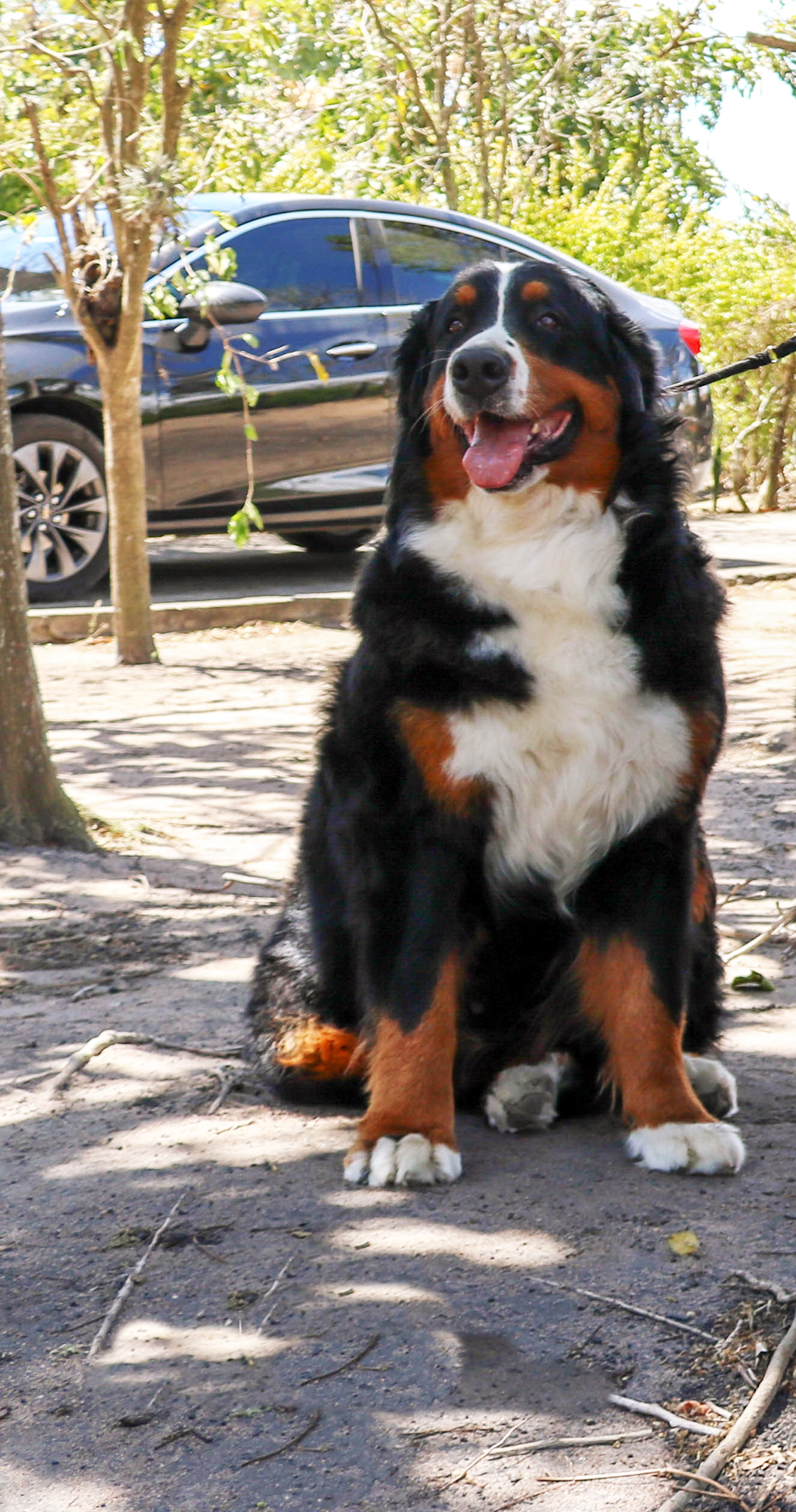 Bella aos 3 anos de idade