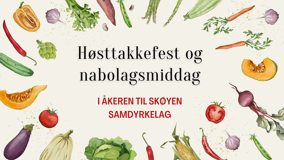 Høsttakkefest og nabolagsmiddag