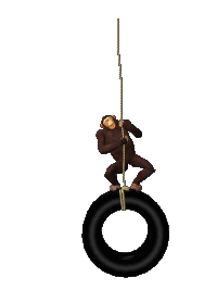 Monkeying about at The Wisteria Fakenham