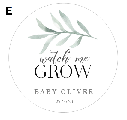 Thumbnail: Baby Shower