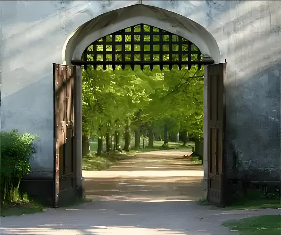 View of trees through a gate