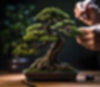 Bonsai tree