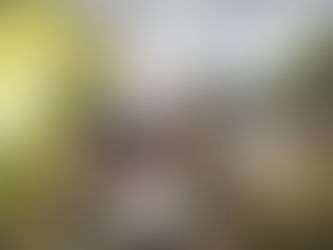 An Unforgettable Summer Festival!