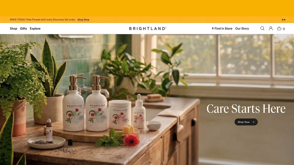 Web Mockups