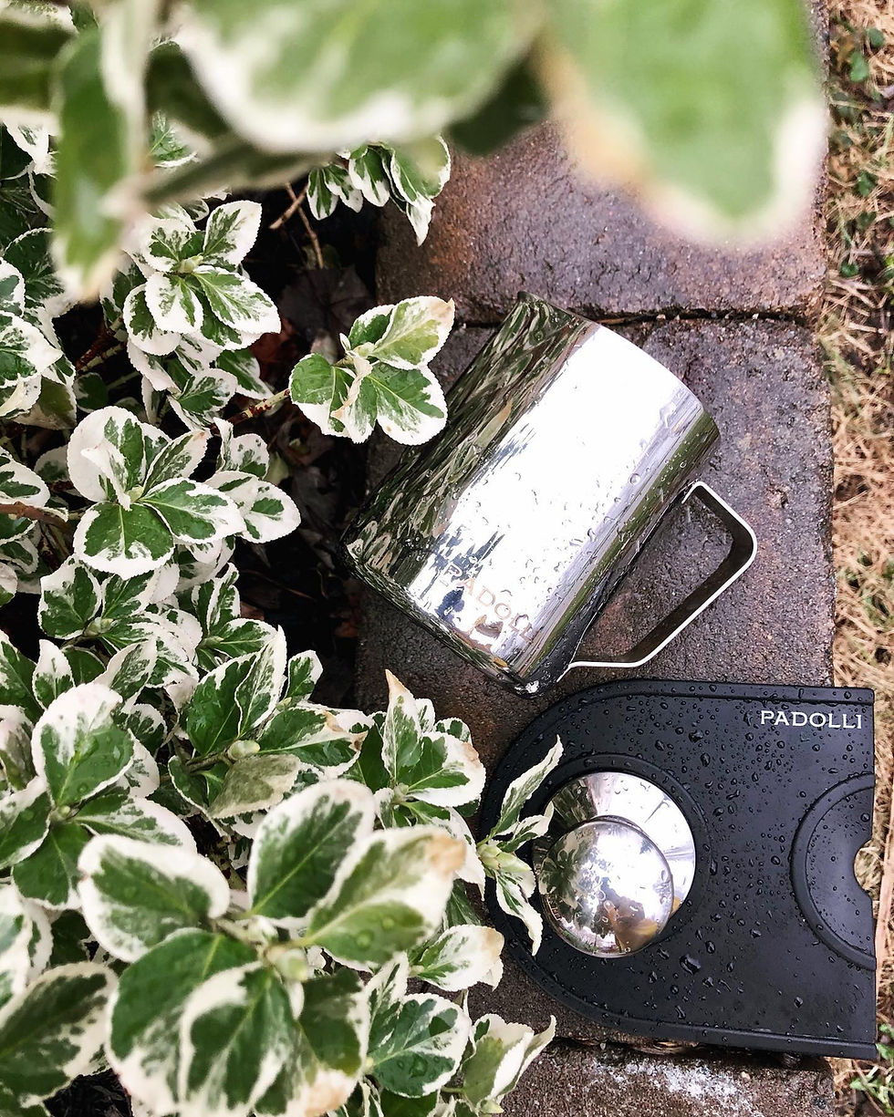 Miniature : Produits pour barista Padolli