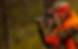 chasse_accueil.jpg