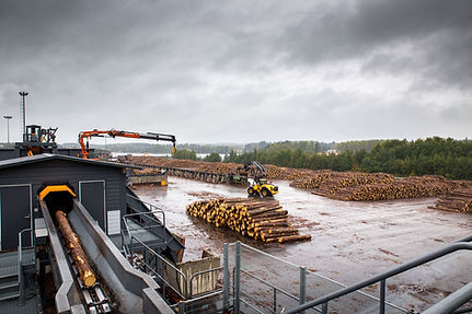 Log Sorting Yard