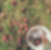 12079098_1094952023858006_77959135389872